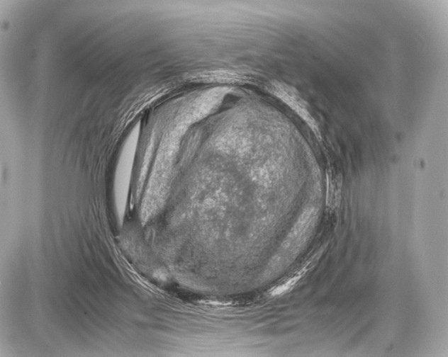 X0000087010109200705141841