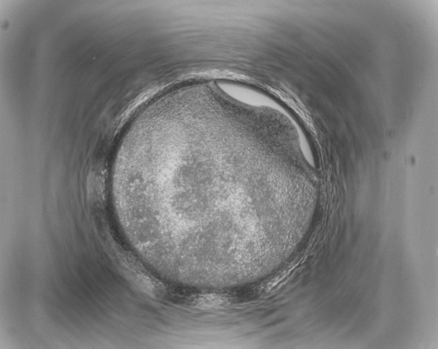 X0000087010111200705141841