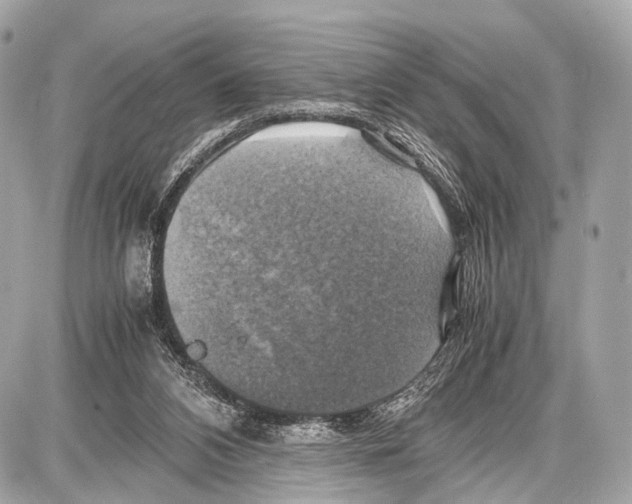 X0000087010112200705141841