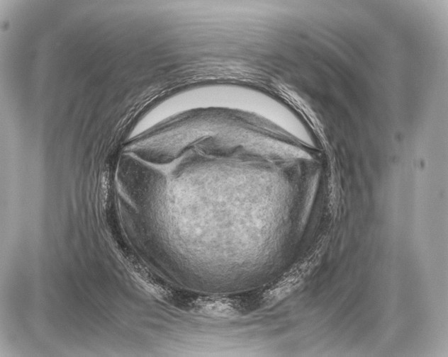 X0000087010113200705141841