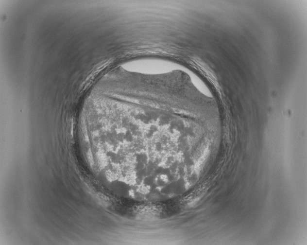 X0000087010115200705141841