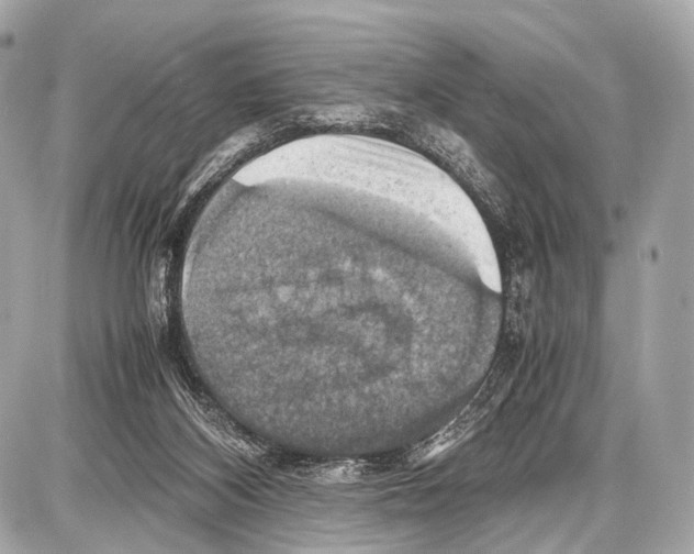 X0000087010116200705141841