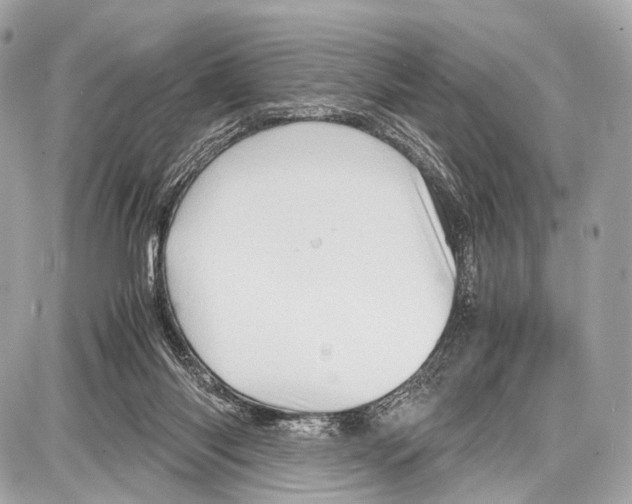 X0000087010118200705141841