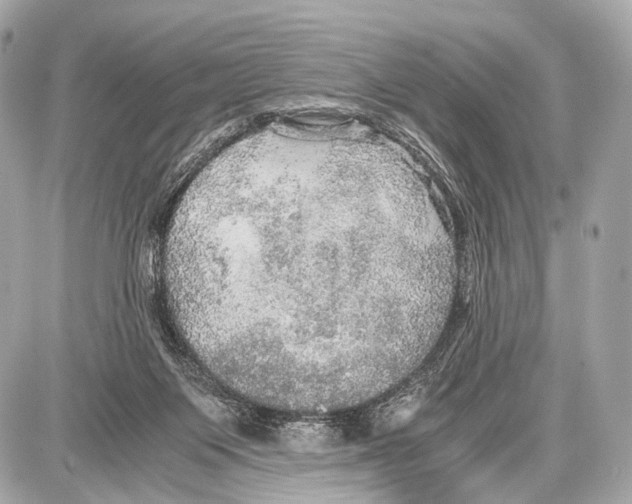 X0000087010119200705141841