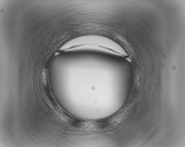 X0000087010121200705141841