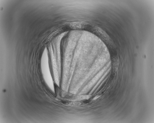 X0000087010125200705141841