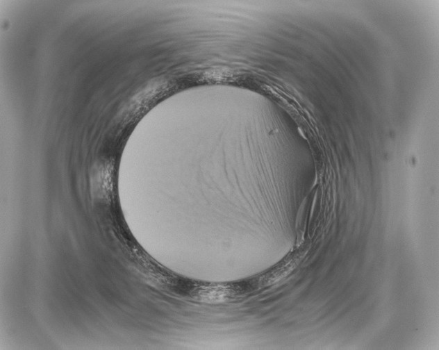 X0000087010127200705141841