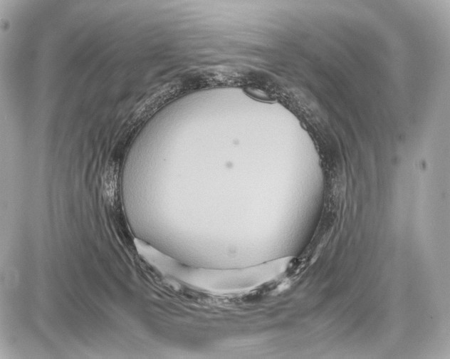 X0000087010129200705141841