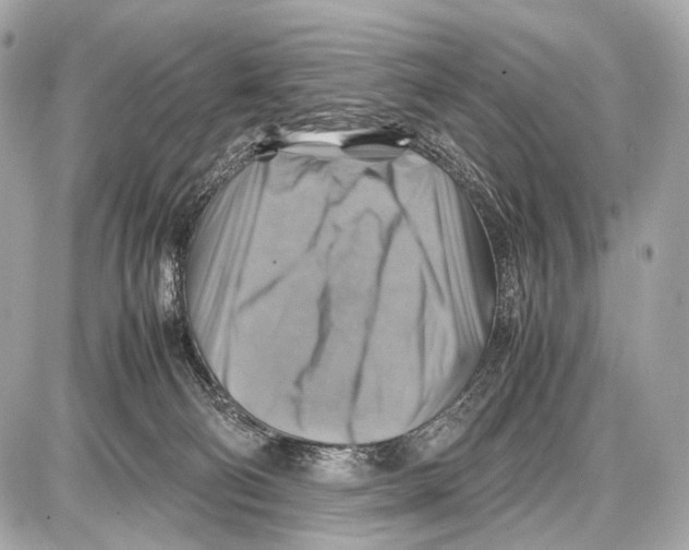 X0000087010130200705141841