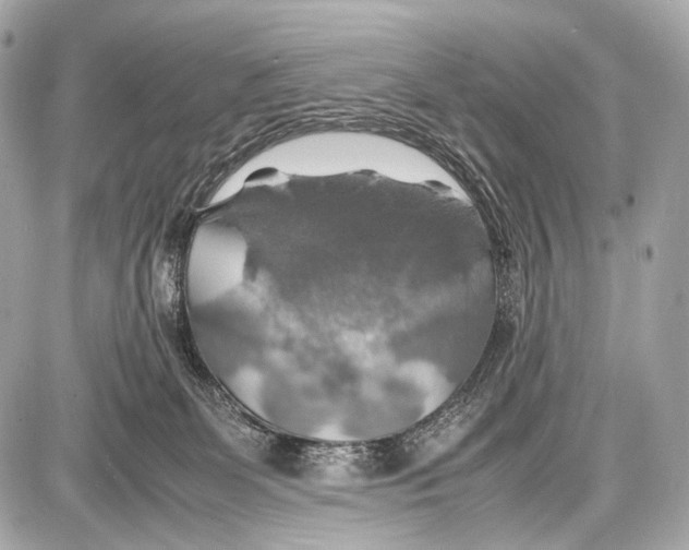 X0000087010131200705141841