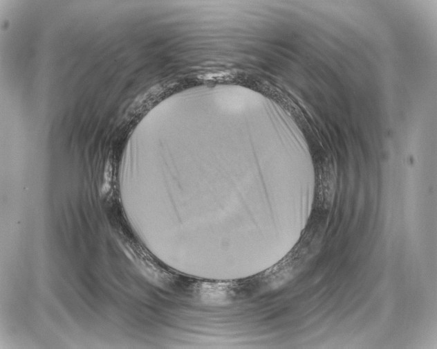 X0000087010134200705141841