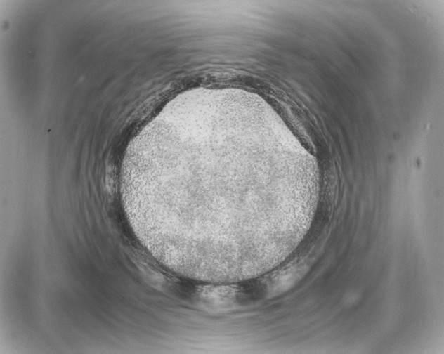 X0000087010135200705141841