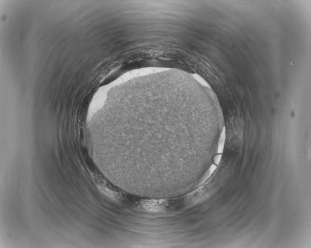 X0000087010136200705141841