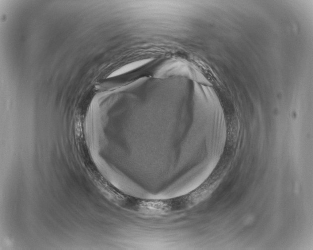 X0000087010137200705141841