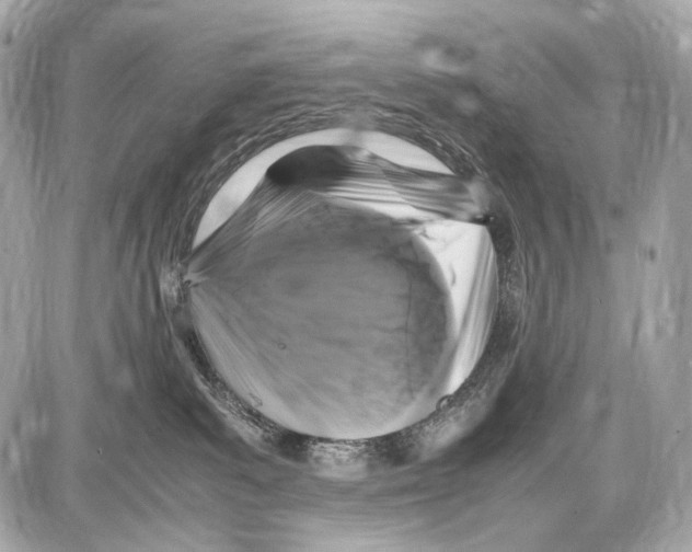 X0000087010139200705141841