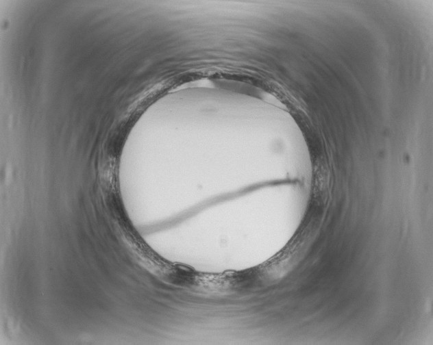 X0000087010141200705141841