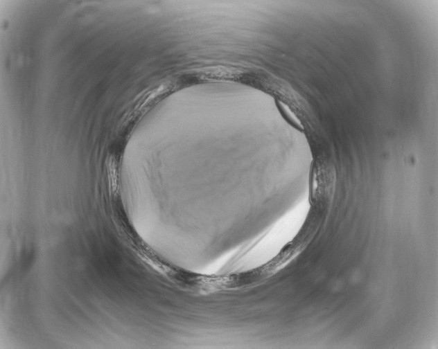 X0000087010143200705141841