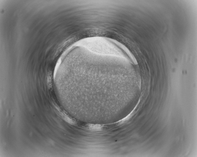 X0000087010144200705141841