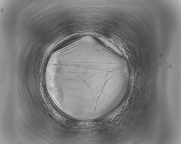 X0000087010145200705141840