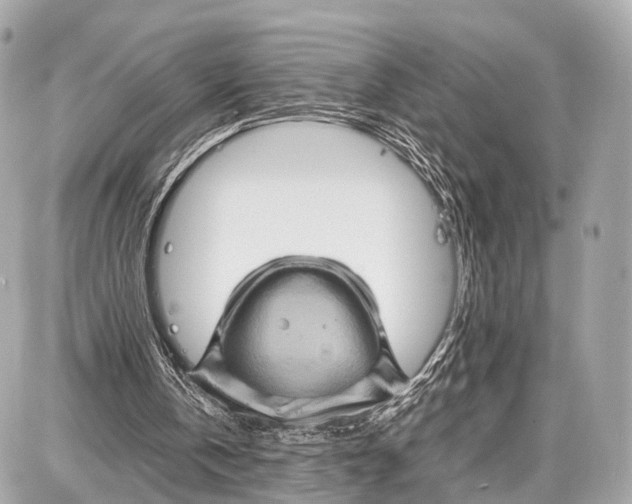 X0000087010146200705141840