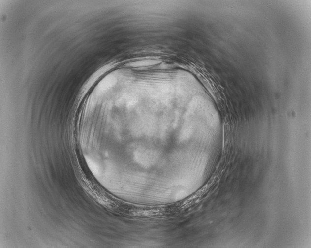 X0000087010147200705141840