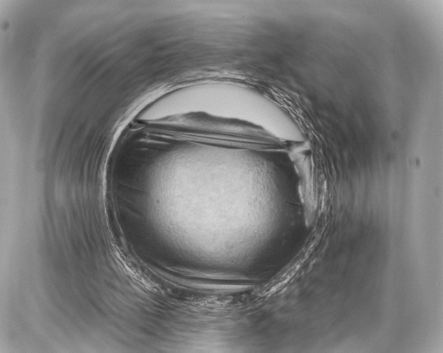 X0000087010148200705141840