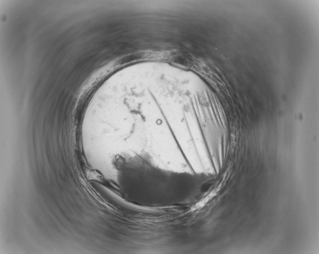 X0000087010149200705141840