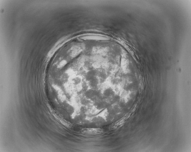 X0000087010151200705141840