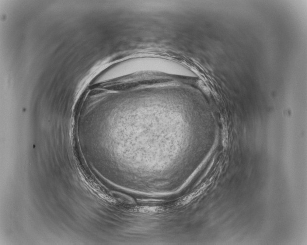 X0000087010152200705141840