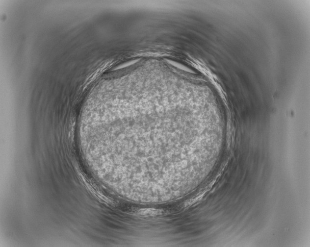 X0000087010153200705141840