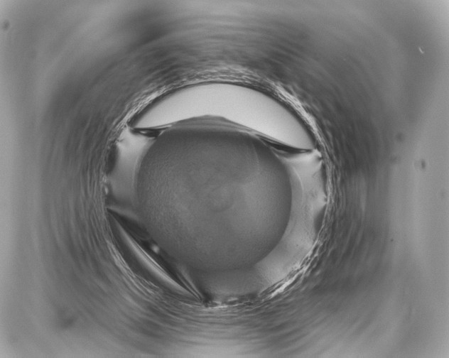 X0000087010154200705141840