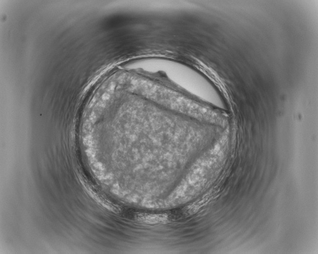 X0000087010155200705141840