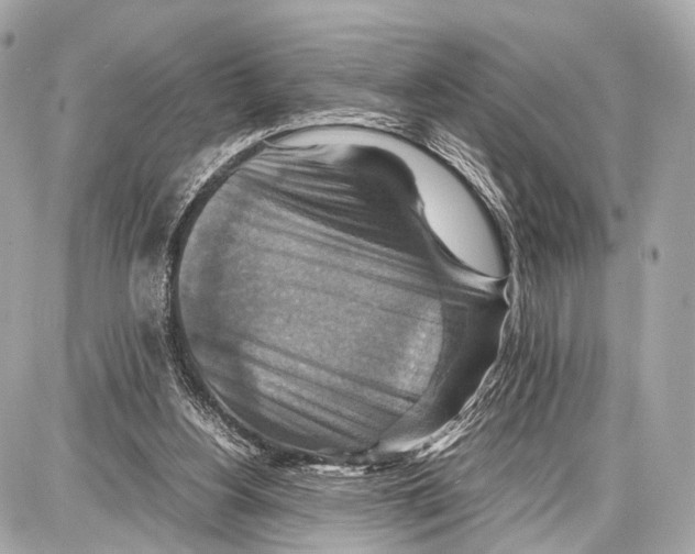 X0000087010156200705141840