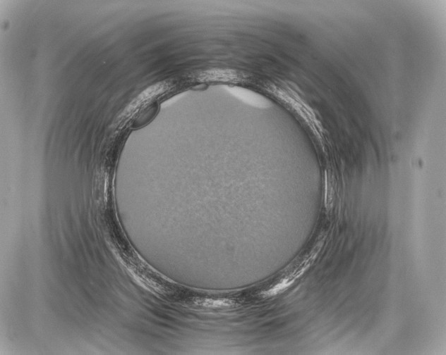 X0000087010157200705141840