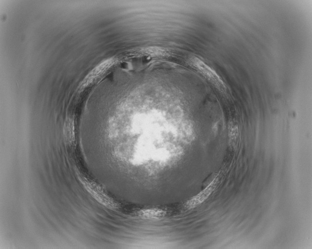 X0000087010158200705141840