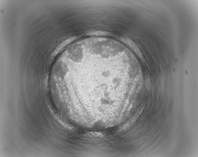 X0000087010159200705141840