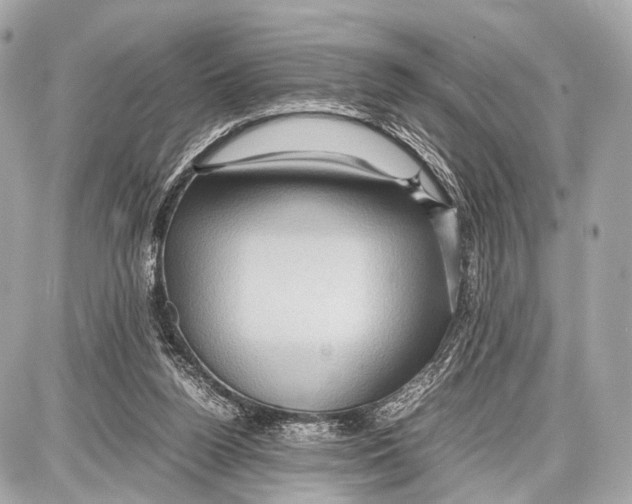 X0000087010160200705141840