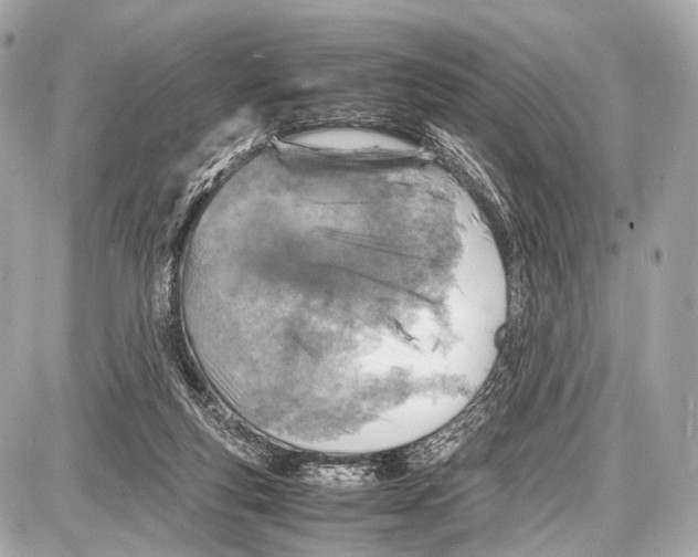 X0000087010163200705141840