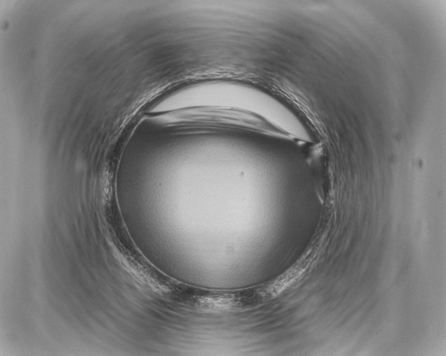 X0000087010164200705141840