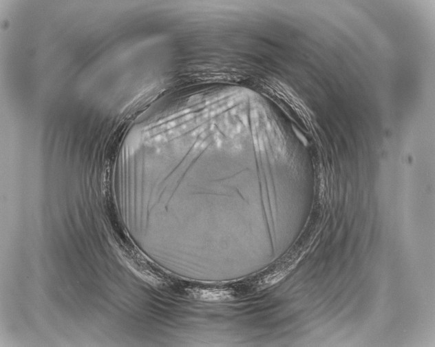 X0000087010165200705141840