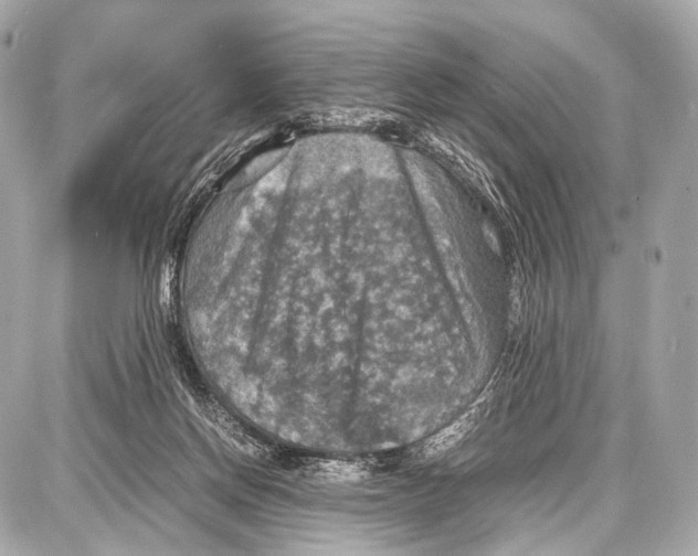 X0000087010166200705141840