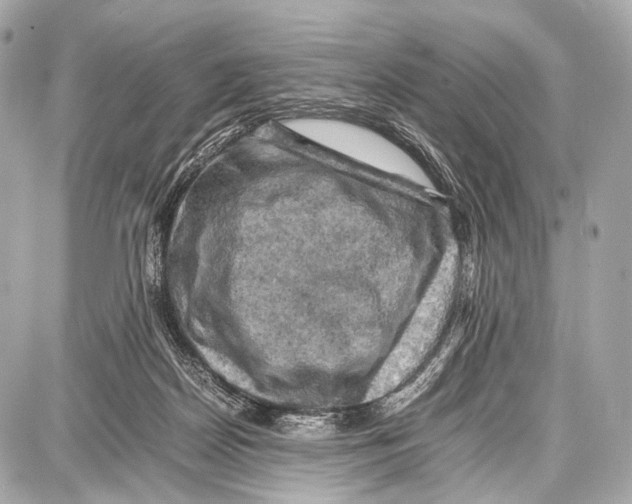 X0000087010170200705141840