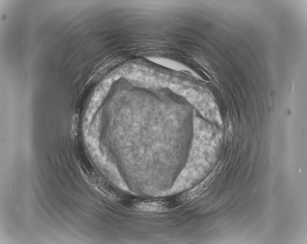 X0000087010171200705141840