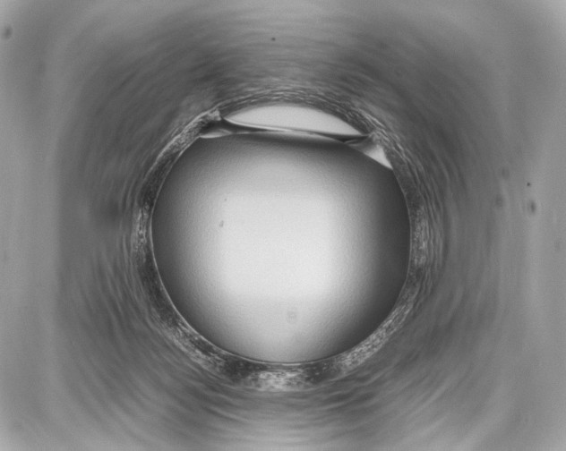 X0000087010172200705141840