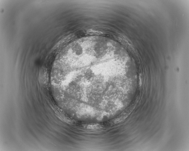 X0000087010173200705141840