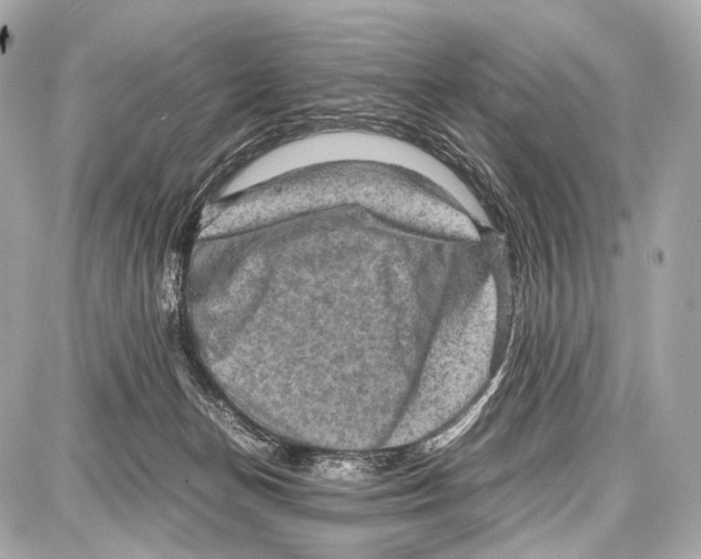 X0000087010174200705141840