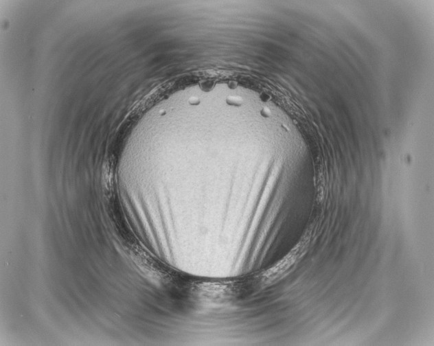 X0000087010176200705141840