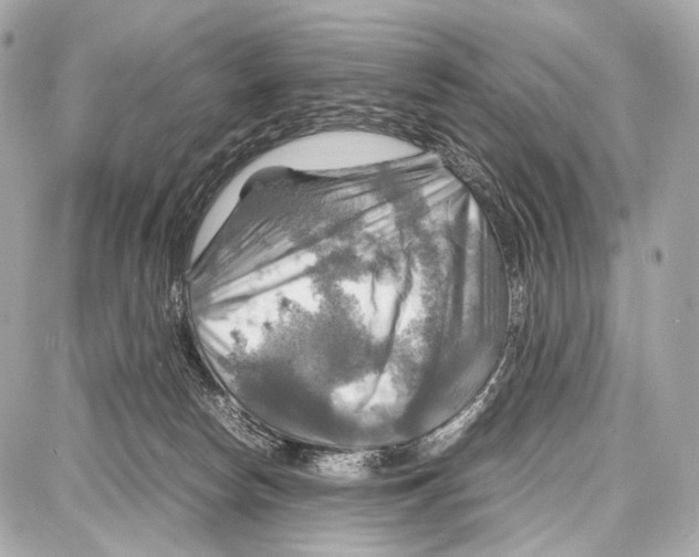 X0000087010178200705141840