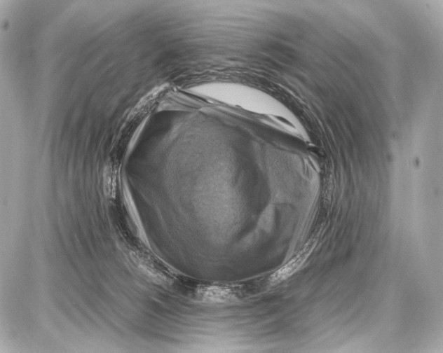 X0000087010180200705141840