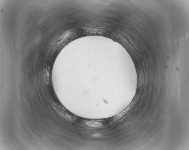 X0000087010183200705141840